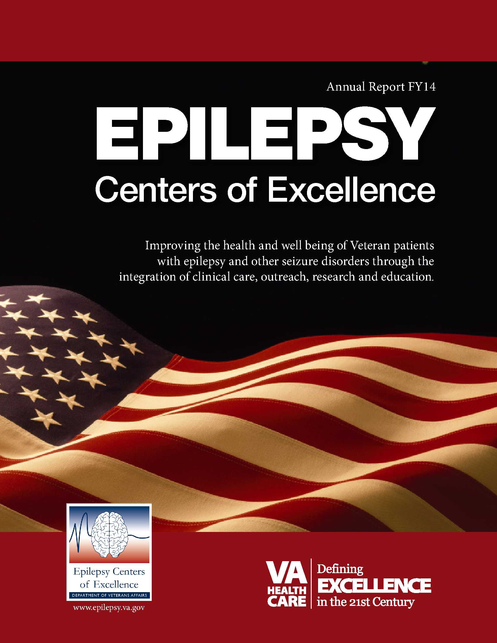 Epilepsy Annual Report 2014